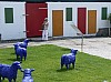 bild 5 - (c) - c tussing.jpg